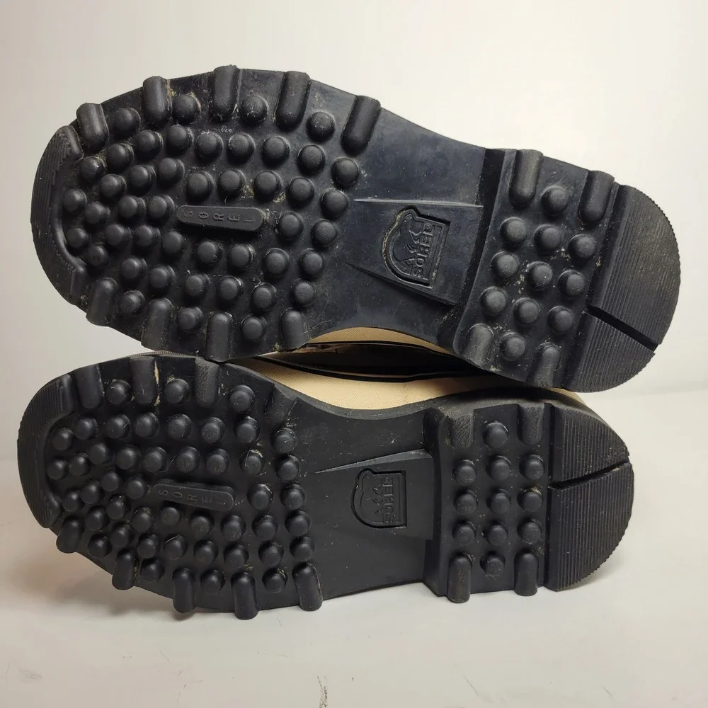 Sorel caribou winter